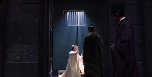 苏总别虐了夫人已尸骨无存免费全集资讯  ，苏总别虐了！夫人已尸骨无存，免费全集资讯--第1张