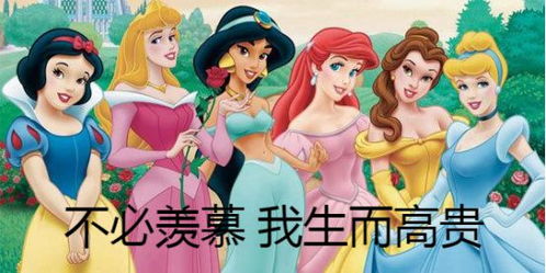 我是真名媛免费全集资讯  ，我是真名媛免费全集资讯，真名媛免费全集，揭秘名媛背后的故事--第1张