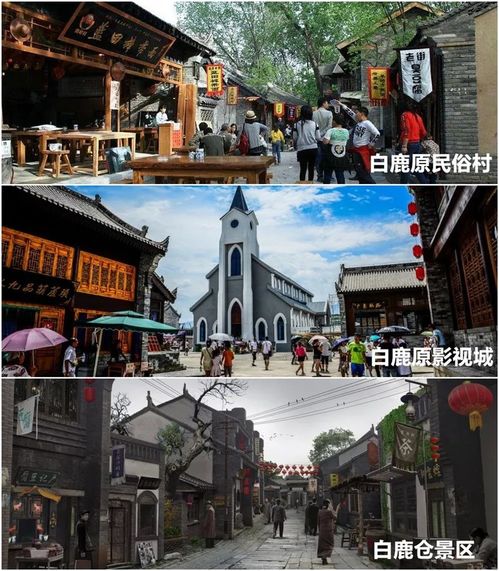 闪婚当天植物人老公站起来了免费全集资讯  ，闪婚当天植物人老公站起来了！免费全集资讯，闪婚当天奇迹发生，植物人老公站起来了--第1张