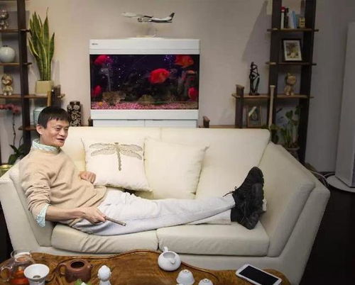男频西莞打工人办公室的秘密免费全集资讯  ，男频西莞打工人办公室的秘密免费全集资讯，男频西莞打工人办公室的秘密免费全集资讯，揭秘职场背后的秘密--第1张