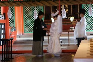 皇太子监国免费全集资讯  皇太子监国免费全集资讯--第1张