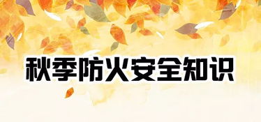 爱随秋风起免费全集资讯  ，爱随秋风起，免费全集资讯--第1张