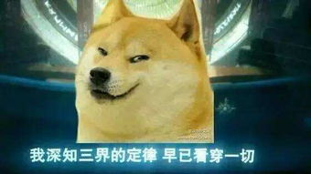 我知道你是谁免费全集资讯  我知道你是谁免费全集资讯--第1张