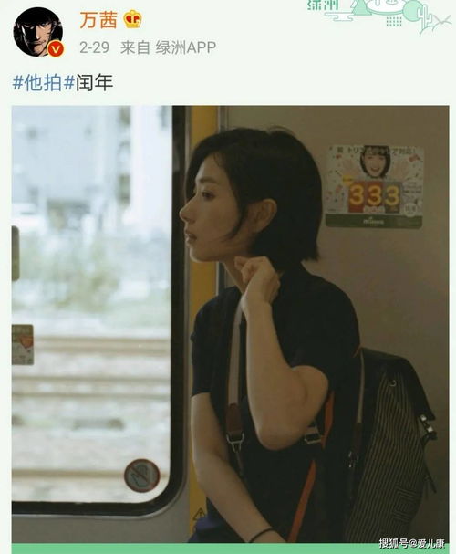 裴总夫人说她不需要两个老公免费全集资讯  裴总夫人，我无需两个老公，免费全集资讯也无需--第1张