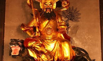 我在人间当财神免费全集资讯  我在人间当财神，免费全集资讯，我在人间当财神免费全集资讯免费阅读，精彩不断！--第1张