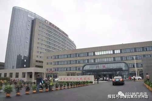 南境炎王免费全集资讯  南境炎王免费全集资讯--第1张