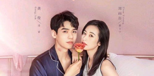 离婚后开始恋爱免费全集资讯  离婚后开始恋爱免费全集资讯--第1张