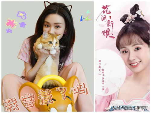 狐仙的新娘免费全集资讯  狐仙的新娘，免费全集资讯，狐仙的新娘免费全集在线观看--第1张