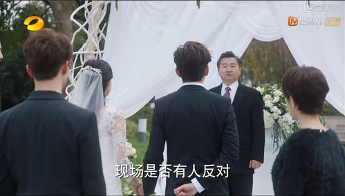 抢婚陆总蓄谋已久免费全集资讯  抢婚陆总，蓄谋已久，抢婚陆总，蓄谋已久，甜蜜来袭--第1张