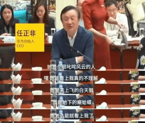 废婿翻身短剧  废婿翻身短剧，逆袭之路，逆袭废婿之路，从赘婿到人生赢家--第1张