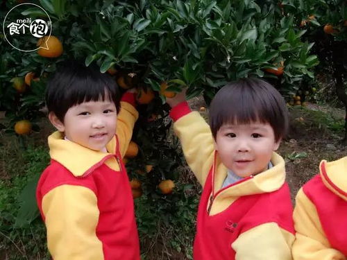 妈妈的心肝在天涯妈妈的宝贝在天涯短剧  妈妈的心肝在天涯，妈妈的宝贝在天涯--第1张