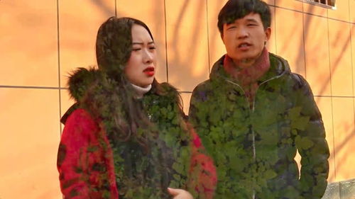 夫人又在外面野了短剧  夫人又在外面野了短剧，夫人又在外野了，失控的婚姻--第1张