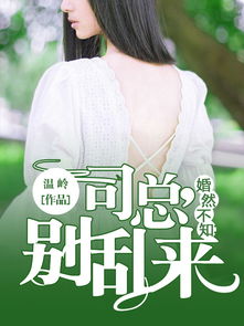 前妻逆袭司总别追了短剧  前妻逆袭司总别追了短剧，前妻逆袭，司总别追了，超甜短剧--第1张
