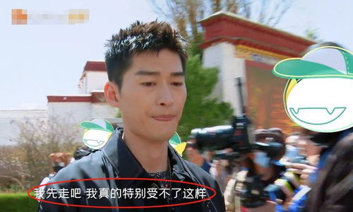 范总天上掉老婆了短剧  范总天上掉老婆了短剧--第1张