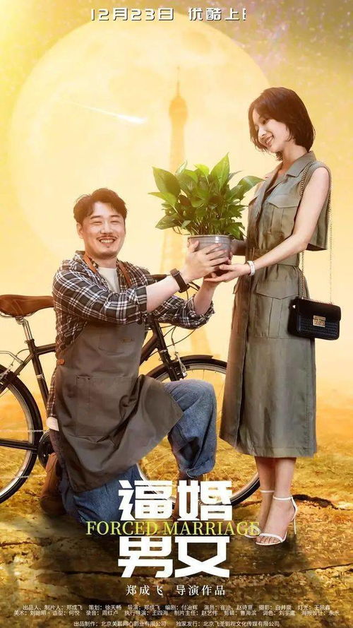 今日宜婚短剧  今日宜婚短剧，今日宜婚短剧，浪漫爱情故事的新篇章--第1张