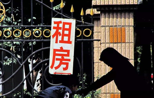 房东在上程七月短剧  房东在上程七月短剧，房东在上，七月短剧--第1张