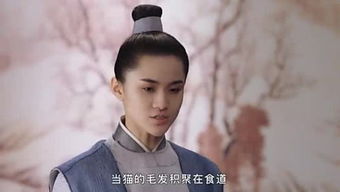 穿越成了涵夏太子短剧  穿越成了涵夏太子--第1张