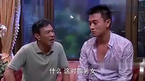 入赘五年离婚既无敌短剧  入赘五年离婚既无敌短剧，入赘五年离婚短剧的喜怒哀乐--第1张