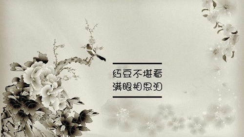 入骨相思她不知短剧  入骨相思她不知短剧，入骨相思她不知，短剧--第1张