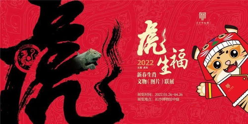 鉴宝无双短剧  鉴宝无双短剧——探寻宝物背后的故事，鉴宝无双，宝物背后的故事--第1张