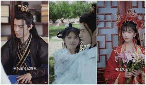 权宠毒妃钟熙短剧  权宠毒妃钟熙短剧--第1张