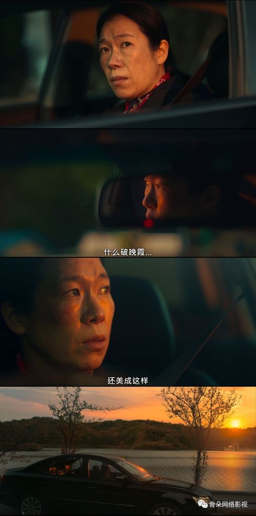 磕的CP杀疯了短剧  磕的CP杀疯了短剧--第1张