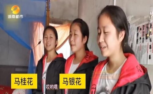 啥基因啊三胞胎都是大佬短剧  啥基因啊三胞胎都是大佬短剧--第1张