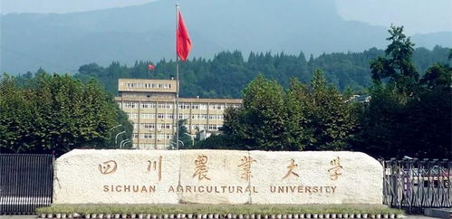 南境炎王短剧  南境炎王短剧，一部充满激情与传奇的历史剧，南境炎王短剧，一部充满激情与传奇的历史剧的视觉盛宴--第1张