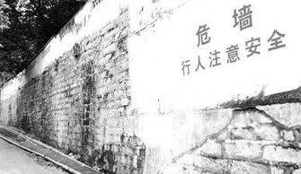 危墙之下短剧  危墙之下短剧，危墙之下，短剧--第1张