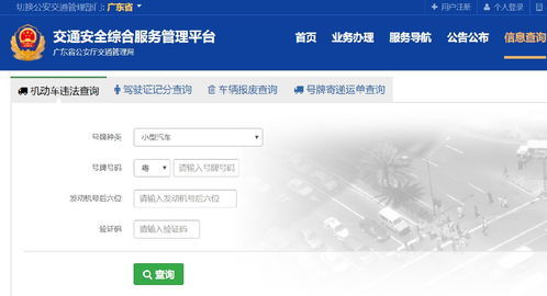 河北交通违章查询手机_河北交通违章查询系统--第1张