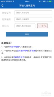 沈阳交通违章查询app_沈阳交通违章查询12123--第1张