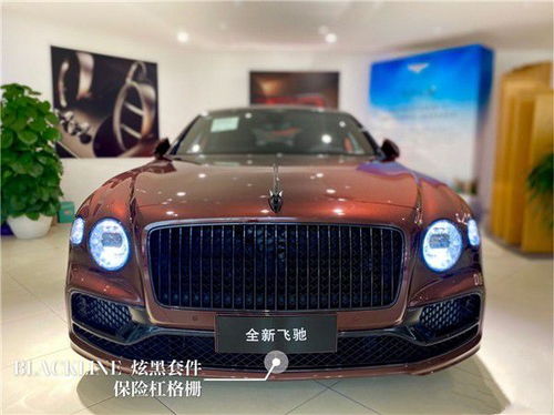 宾利飞驰2021款_宾利飞驰2021款图片--第1张