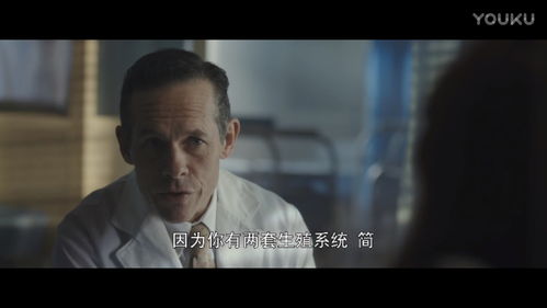 时空穿越孙女带我来改命短剧在线观看全集  时空穿越孙女带我来改命短剧在线观看全集--第1张