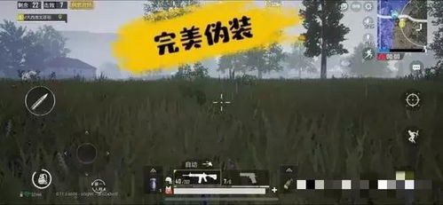 神级快递员短剧在线观看全集  神级快递员短剧在线观看全集--第1张
