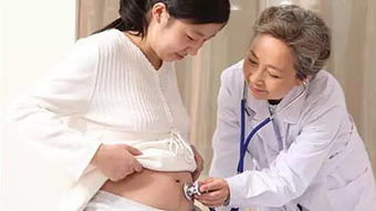 离婚后她转身收到六胎孕检单短剧在线观看全集  离婚后她转身收到六胎孕检单短剧在线观看全集，离婚后她转身收到六胎孕检单全集在线观看--第1张