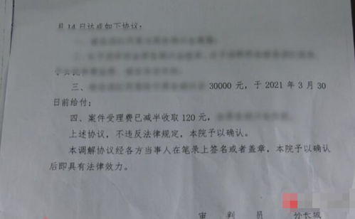 郁总离婚协议请签收短剧在线观看全集  郁总离婚协议请签收短剧在线观看全集，郁总离婚协议请签收短剧在线观看，离婚后的爱情争夺--第1张