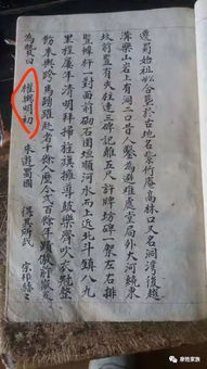 清明祭祖族谱为我单开一页短剧在线观看全集  清明祭祖族谱为我单开一页，清明祭祖族谱在线短剧，单开一页--第1张
