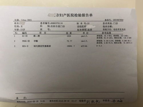 离婚后前夫捡到了我的孕检单短剧在线观看全集  ，离婚后前夫捡到我的孕检单，一段意想不到的情缘，离婚后前夫捡到孕检单，前夫的意外情缘--第1张