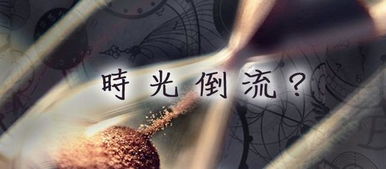 我能让时光倒流短剧在线观看全集  我能让时光倒流短剧在线观看全集--第1张