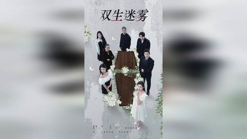 双生迷雾短剧在线观看全集  双生迷雾短剧在线观看全集，双生迷雾，揭开神秘面纱的短剧全集在线观看--第1张