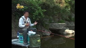 神医钓王短剧在线观看全集  神医钓王短剧在线观看全集--第1张