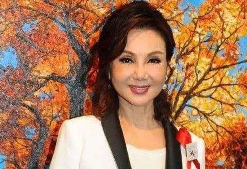 豪门老公偏要宠我短剧在线观看全集  ，豪门老公偏要宠我短剧在线观看全集，豪门老公偏要宠我，短剧在线全集观看--第1张