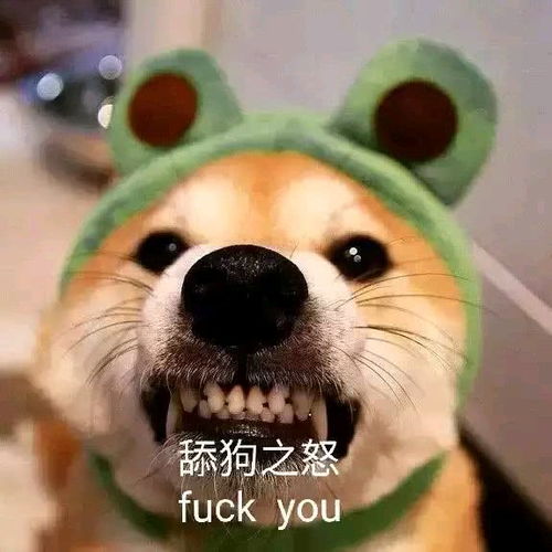怪我情有独钟出狱后薄情前夫成了舔狗短剧在线观看全集  怪我情有独钟出狱后薄情前夫成了舔狗短剧在线观看全集--第1张