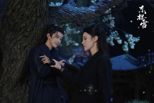 夫人离婚后疯批总裁他慌了短剧在线观看全集  夫人离婚后疯批总裁他慌了短剧在线观看全集，夫人离婚后疯批总裁他慌了在线观看免费全集--第1张