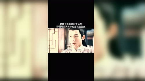 你是我的星辰愿我如星君如月短剧在线观看全集  你是我的星辰愿我如星君如月，如星如月短剧在线--第1张