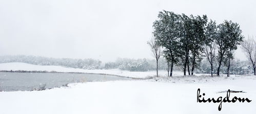 春雪落无声短剧在线观看全集  春雪落无声短剧在线观看全集--第1张