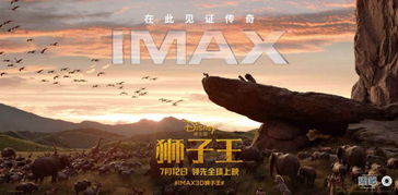 归来成王短剧在线观看全集  归来成王短剧在线观看全集--第1张