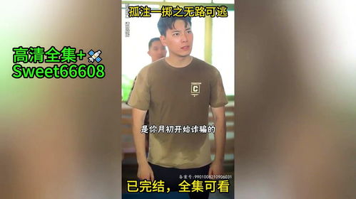 孤注一掷之无路可逃短剧在线观看全集  孤注一掷之无路可逃短剧在线观看全集，孤注一掷之无路可逃短剧在线观看全集，勇往直前的冒险之旅--第1张