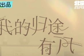 风起时见你短剧在线观看全集  风起时见你短剧在线观看全集，风起时见你短剧免费在线观看全集--第1张