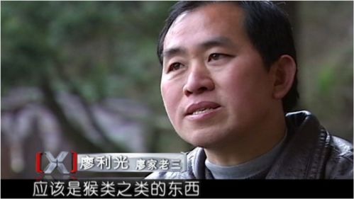 从天而降的祁总短剧在线观看  从天而降的祁总短剧在线观看--第1张